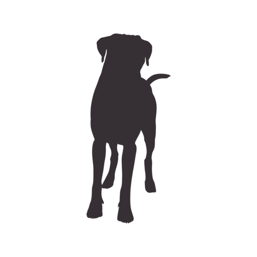 Dog silhouette Boxer standing