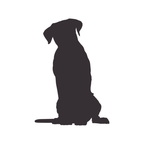 Dog silhouette Cane Corso sitting