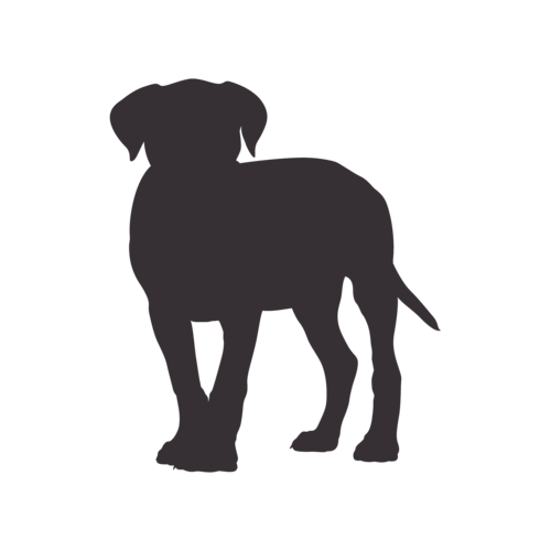 Dog silhouette Cane Corso standing