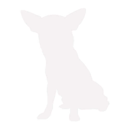 Dog silhouette Chihuahua sitting