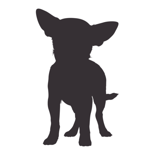 Dog silhouette Chihuahua standing