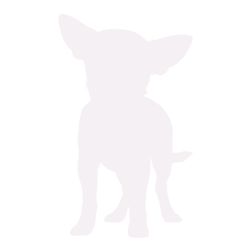 Dog silhouette Chihuahua standing
