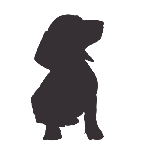 Dog silhouette Dachshund sitting