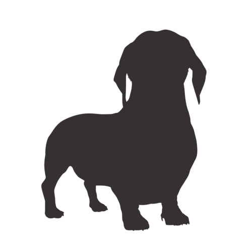 Dog silhouette Dachshund standing
