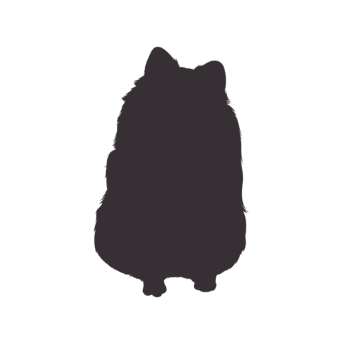Dog silhouette Pomeranian sitting