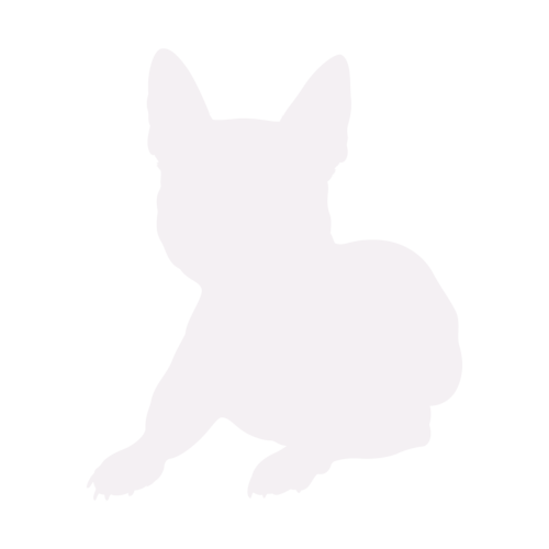 Dog silhouette French Bulldog sitting