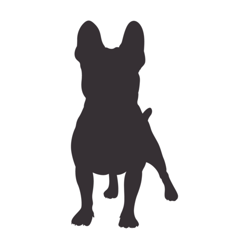 Dog silhouette French Bulldog standing