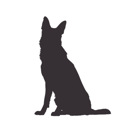 Dog silhouette German Shepherd Dog sitting