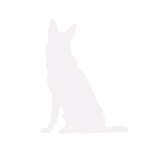 Dog silhouette German Shepherd Dog sitting