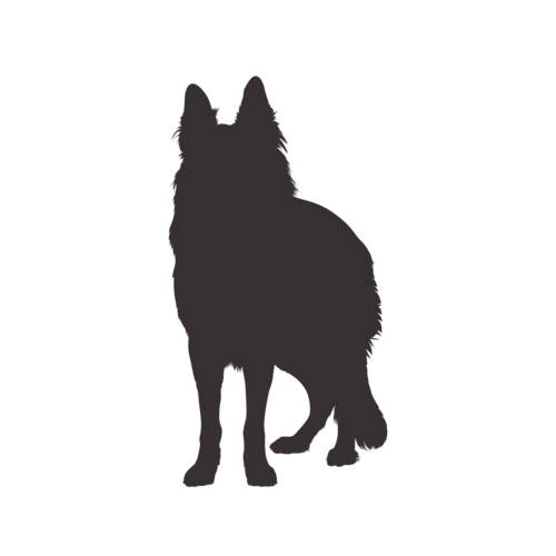 Dog silhouette German Shepherd Dog standing