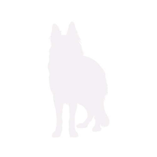 Dog silhouette German Shepherd Dog standing