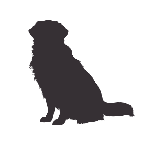 Dog silhouette Golden Retriever sitting