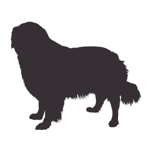 Dog silhouette Golden Retriever standing