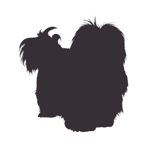 Dog silhouette Havanese standing