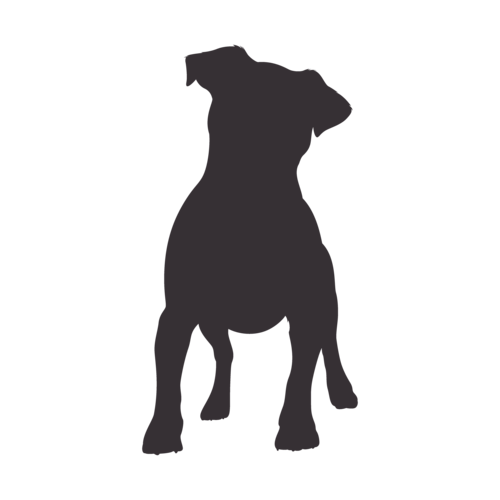 Dog silhouette Jack Russell Terrier standing
