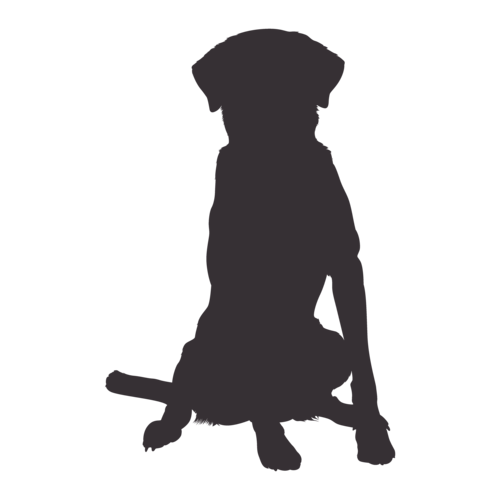 Dog silhouette Labrador sitting