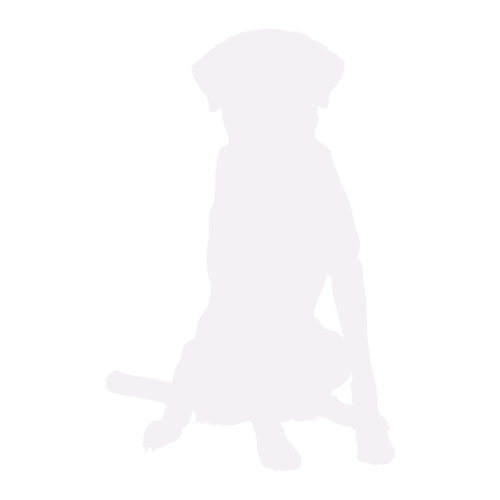 Dog silhouette Labrador sitting