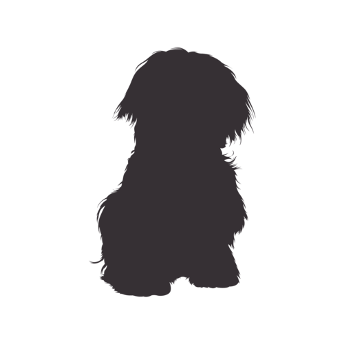 Dog silhouette Maltese sitting
