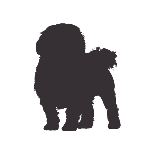 Dog silhouette Maltese standing