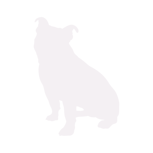 Dog silhouette Old English Bulldog sitting