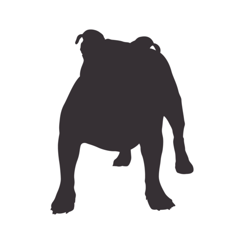 Dog silhouette Old English Bulldog standing
