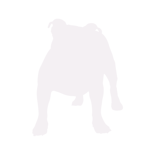 Dog silhouette Old English Bulldog standing