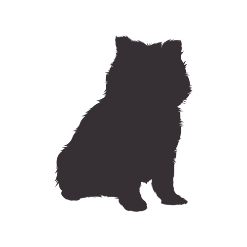 Dog silhouette Pomeranian sitting
