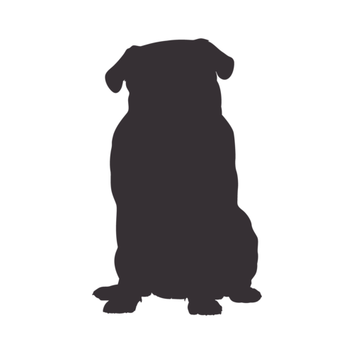 Dog silhouette Pug sitting