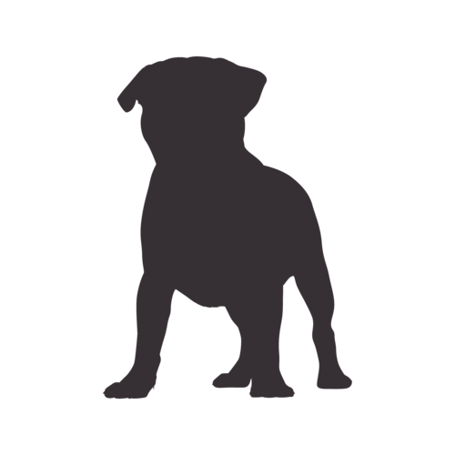 Dog silhouette Pug standing