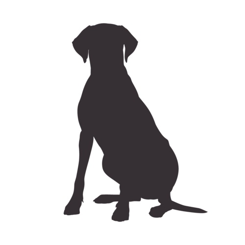 Dog silhouette Rhodesian Ridgeback sitting