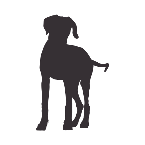 Dog silhouette Rhodesian Ridgeback standing