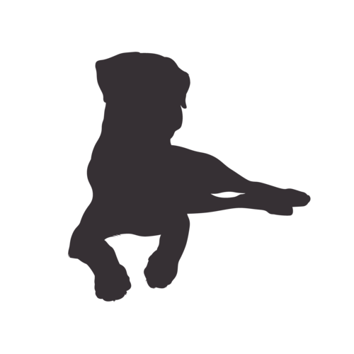 Dog silhouette Rottweiler sitting