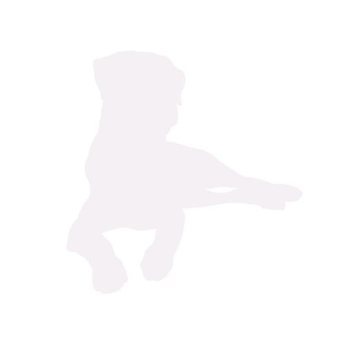 Dog silhouette Rottweiler sitting