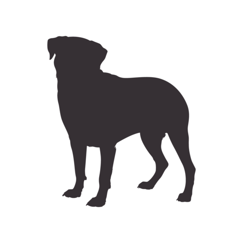 Dog silhouette Rottweiler standing