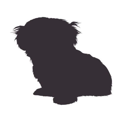 Dog silhouette Shih Tzu sitting