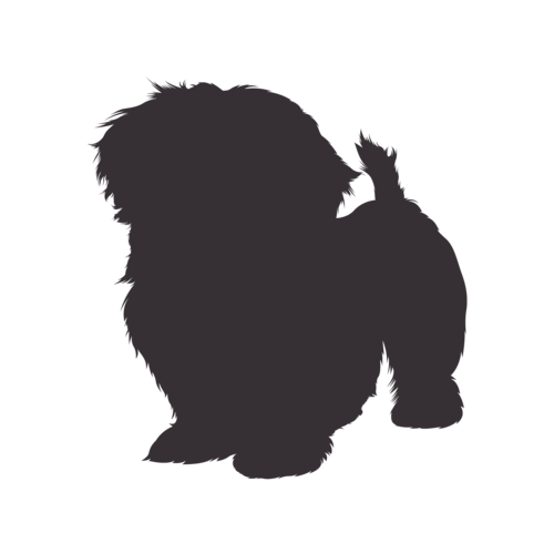 Dog silhouette Shih Tzu standing