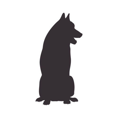Dog silhouette Siberian Husky sitting