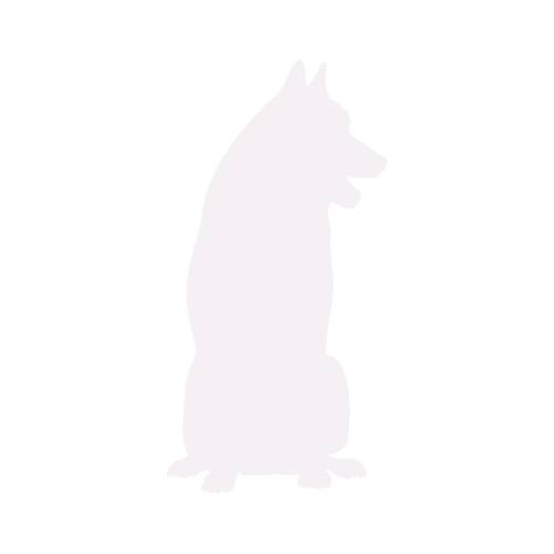 Dog silhouette Siberian Husky sitting