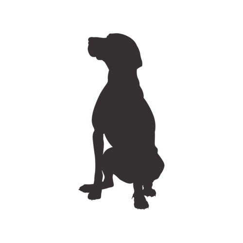 Dog silhouette Hungarian Vizsla sitting