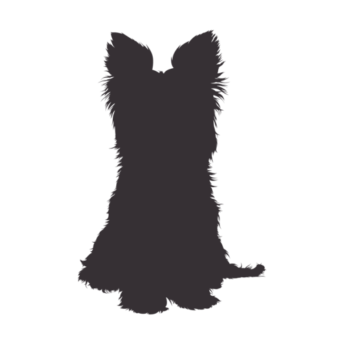 Dog silhouette Yorkshire Terrier sitting