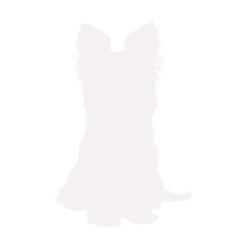 Dog silhouette Yorkshire Terrier sitting