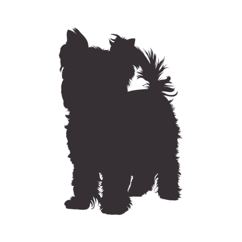 Dog silhouette Yorkshire Terrier standing
